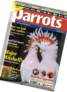 Parrots – March 2017