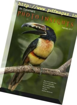 Photo Insights – February 2017