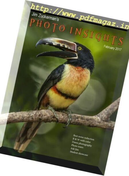 Photo Insights – February 2017 Cover