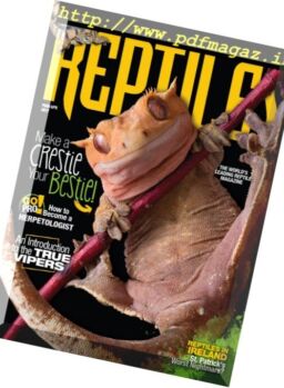 Reptiles – March-April 2017