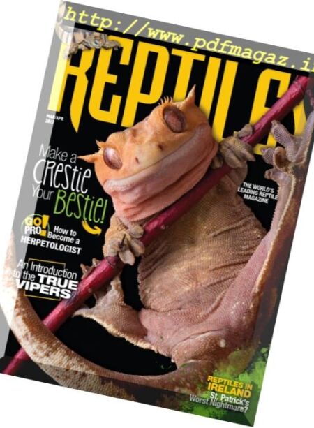 Reptiles – March-April 2017 Cover