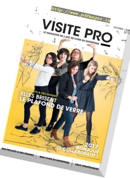 Visite Pro – N 6, Fevrier-Mars 2017 Cover