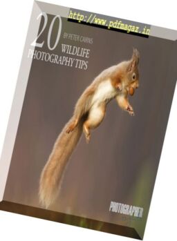Wild Planet Photo – 20 Wildlife Photography Tips