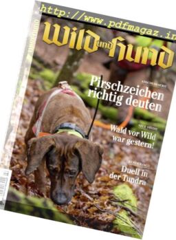 Wild und Hund – 16 Februar 2017