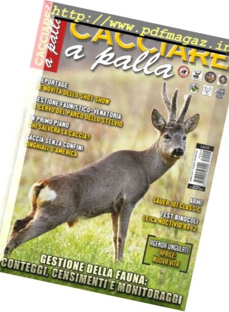 Cacciare A Palla – Aprile 2017 Cover