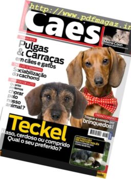 Caes & Companhia – Abril 2017