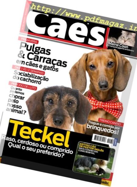 Caes & Companhia – Abril 2017 Cover