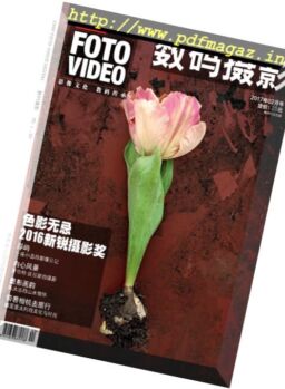 Chip Foto Video China – February 2017