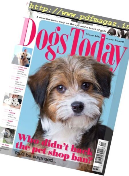 Dogs Today UK – April 2017 Cover