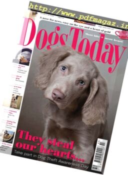Dogs Today UK – March 2017