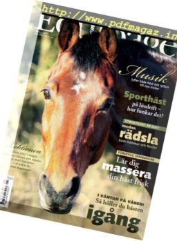 Equipage – Nr.1, 2017
