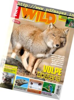 Focus Wild – Aprile 2017