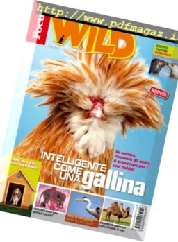 Focus Wild – Marzo 2017