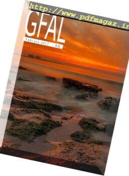 Gfal – Febrero 2017