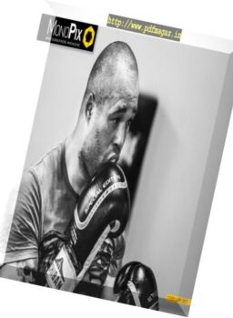 Monopix – February 2017