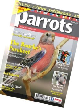 Parrots – April 2017