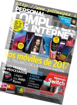 Personal Computer & Internet – N 173, 2017