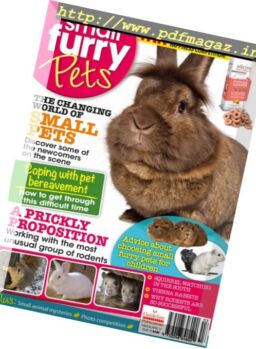 Small Furry Pets – March-April 2017