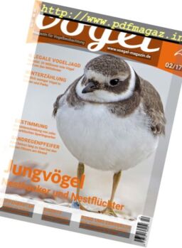 Vogel – Nr.2, 2017