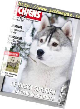 Vos chiens – Mars-Avril 2017