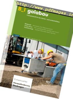 B_I galabau – Februar 2017