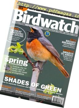 Birdwatch UK – April 2017