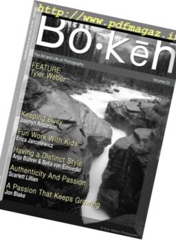 Bokeh – Vol. 53, 2017