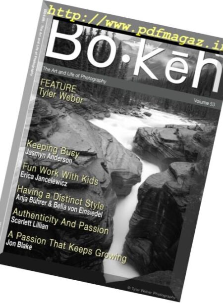 Bokeh – Vol. 53, 2017 Cover