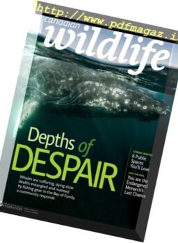 Canadian Wildlife – March-April 2017