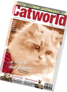 Cat World – February 2017