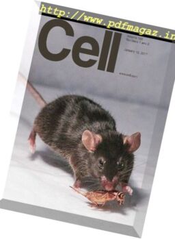 Cell – 12 January 2017