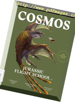 Cosmos Magazine – Autumn 2017