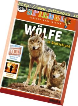 Dein Spiegel – Mai 2017