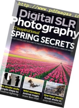Digital SLR Photography – April 2017