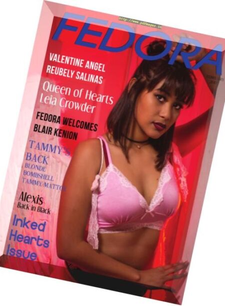 Fedora Magazine – February 2017 Cover