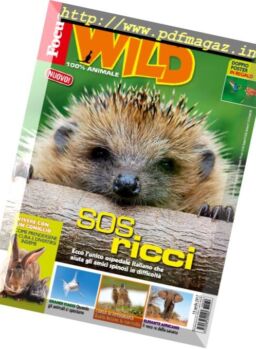 Focus Wild – Maggio 2017