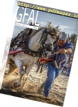 Gfal – Marzo 2017