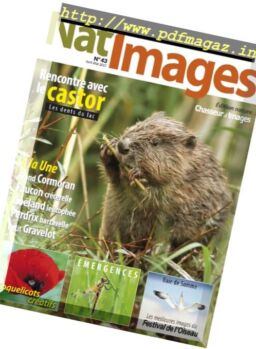 Nat’Images – Avril-Mai 2017