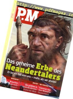 P.M. – April 2017