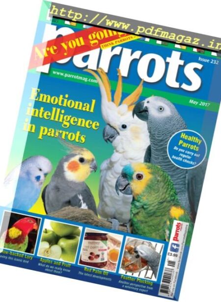 Parrots – May 2017 Cover