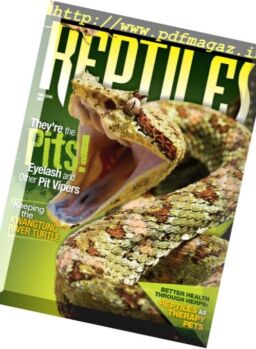Reptiles – May-June 2017