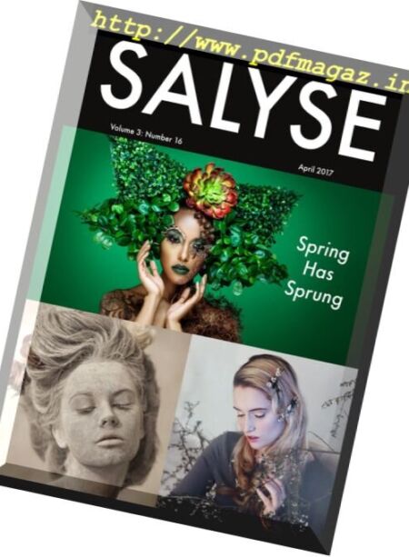 Salyse – Vol. 3 N 16, April 2017 Cover