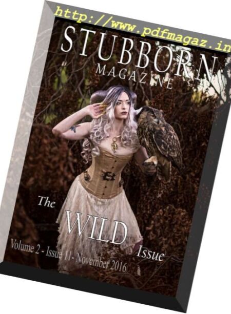 Stubborn Magazine – Issue 11, November 2016 Cover