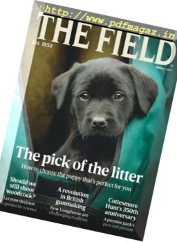 The Field – March 2017