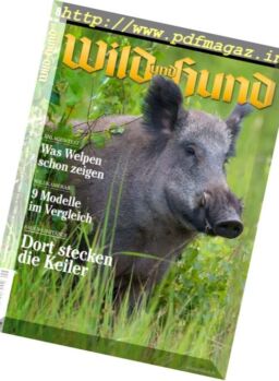 Wild und Hund – 20 April 2017