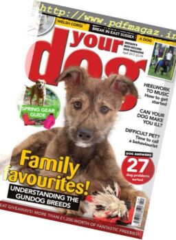 Your Dog – April 2017