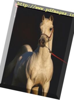 Arabian Horse World – May 2017