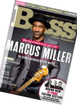 Bass Guitar – April 2017