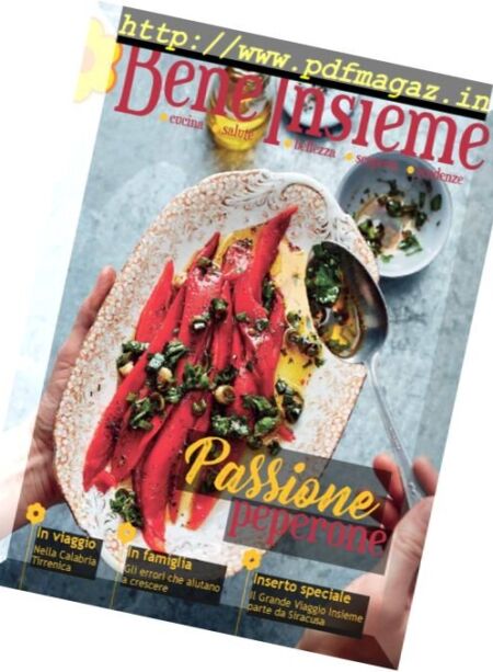 Bene Insieme – Maggio 2017 Cover