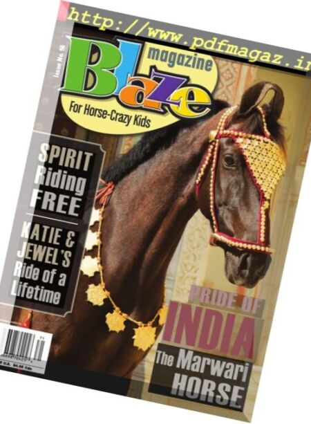 Blaze Magazine – Spring 2017 Cover